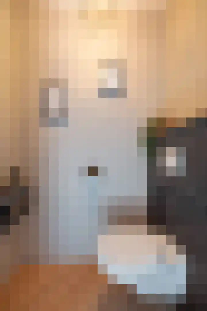 Donk 31 Kampen thumbnail 17