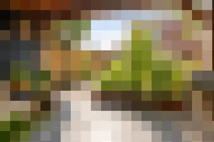 Donk 31 Kampen thumbnail 37