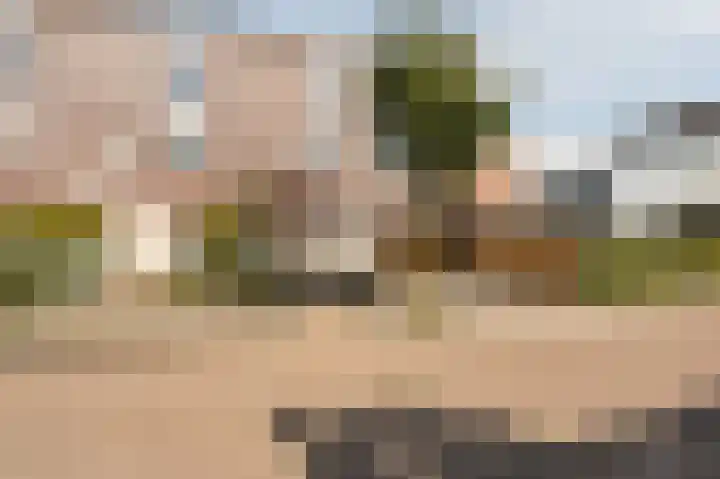Donk 31 Kampen thumbnail 56