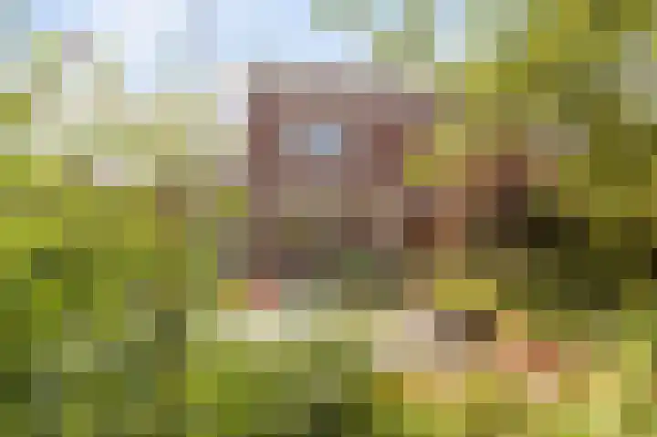 Donk 31 Kampen thumbnail 9