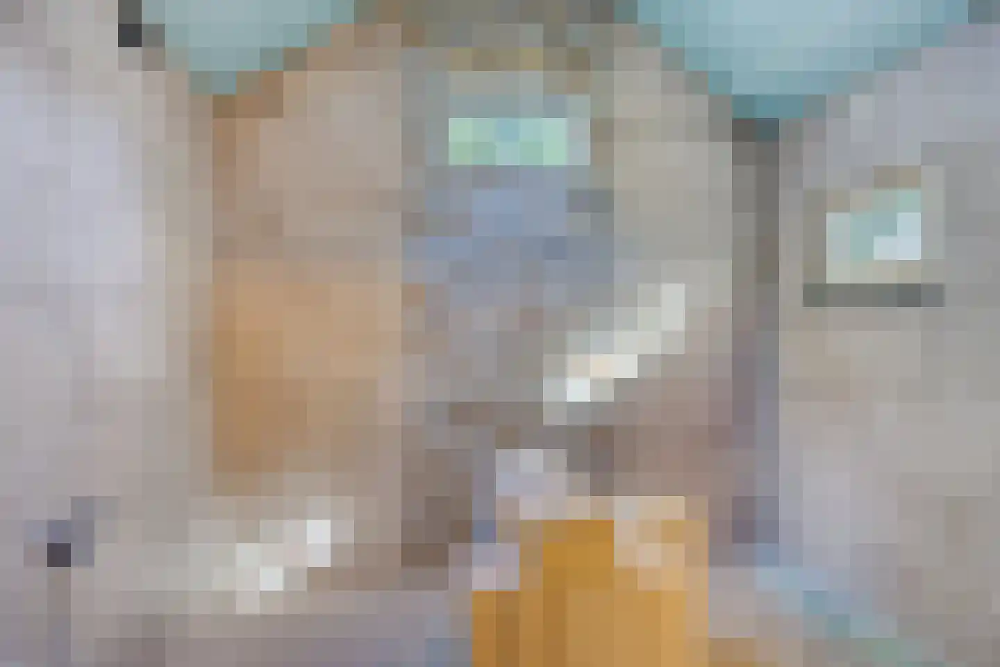 Donk 4 Kessel thumbnail 30