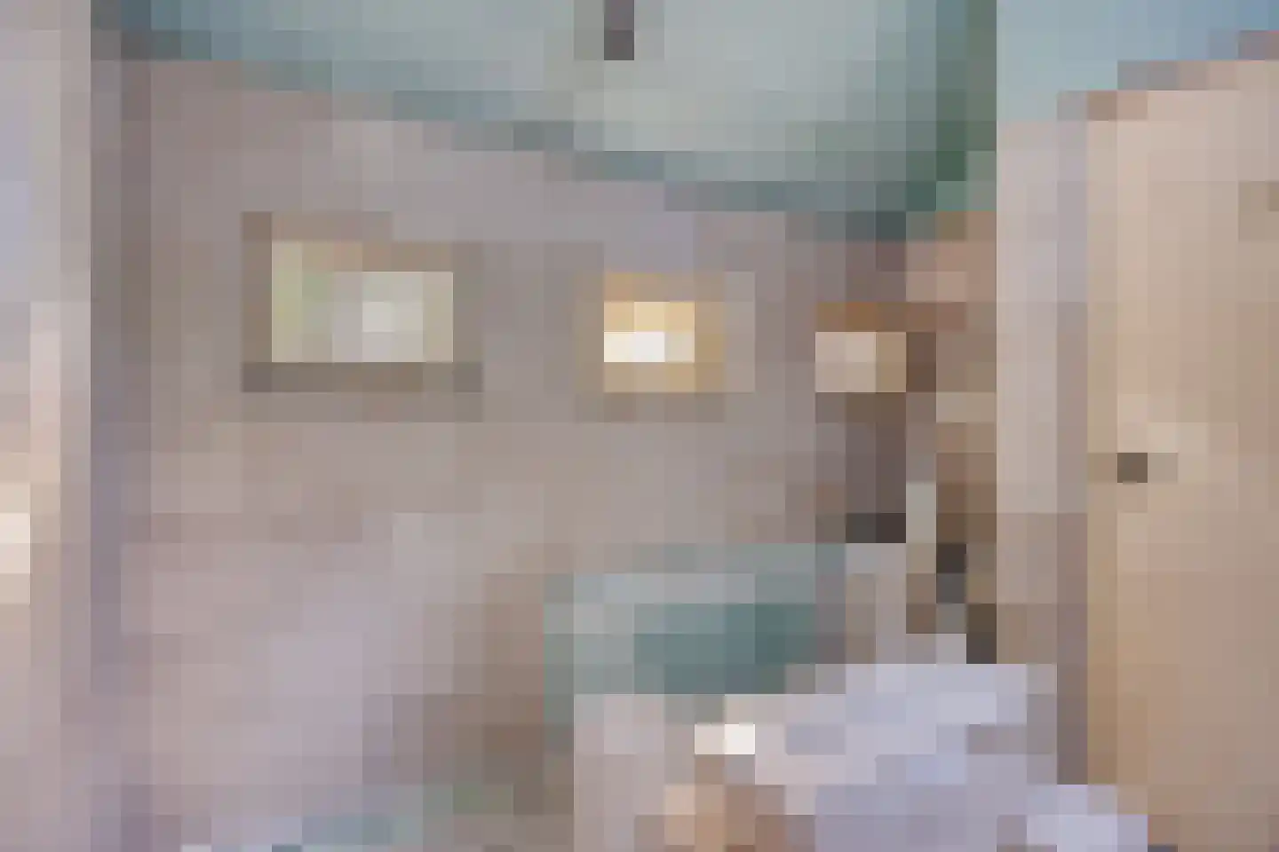 Donk 4 Kessel thumbnail 31