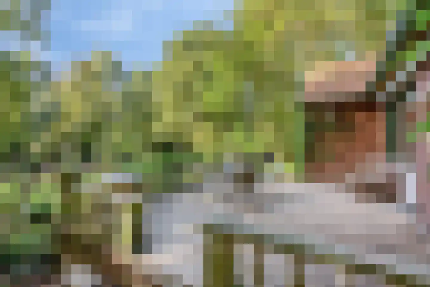 Donk 4 Kessel thumbnail 52