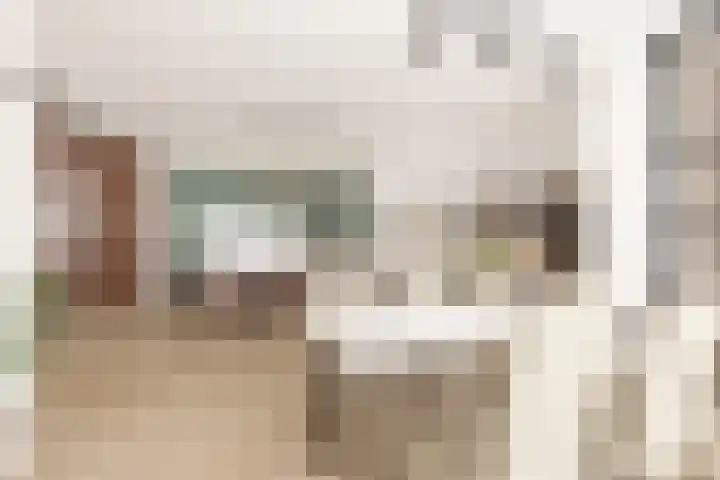 Donk 8 Vessem thumbnail 16