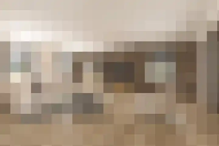 Donk 8 Vessem foto 2
