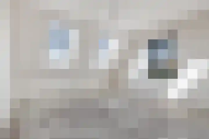 Donk 8 Vessem thumbnail 27