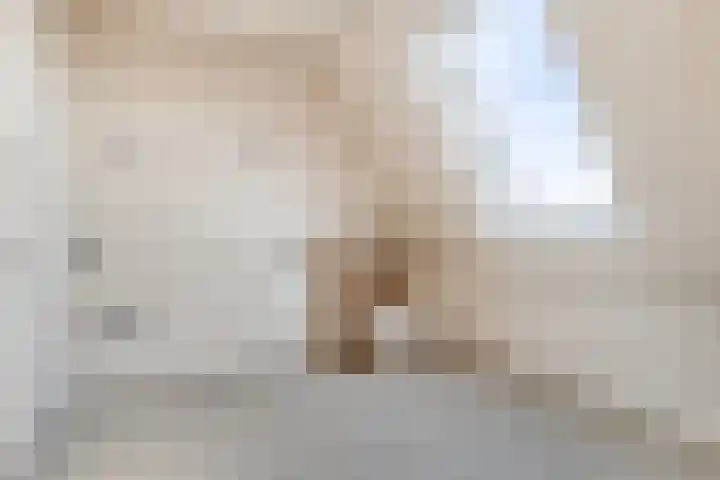 Donk 8 Vessem thumbnail 31
