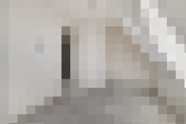 Donk 8 Vessem thumbnail 35