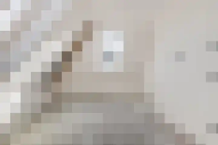 Donk 8 Vessem thumbnail 36
