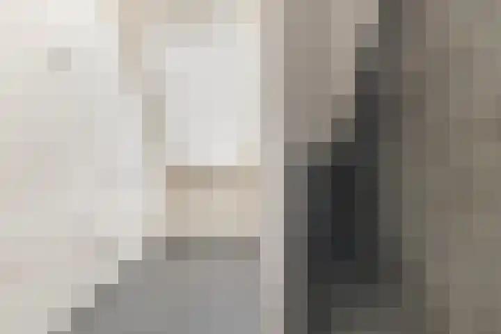 Donk 8 Vessem thumbnail 38