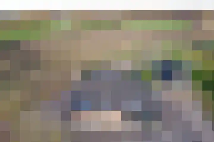 Donk 8 Vessem thumbnail 4