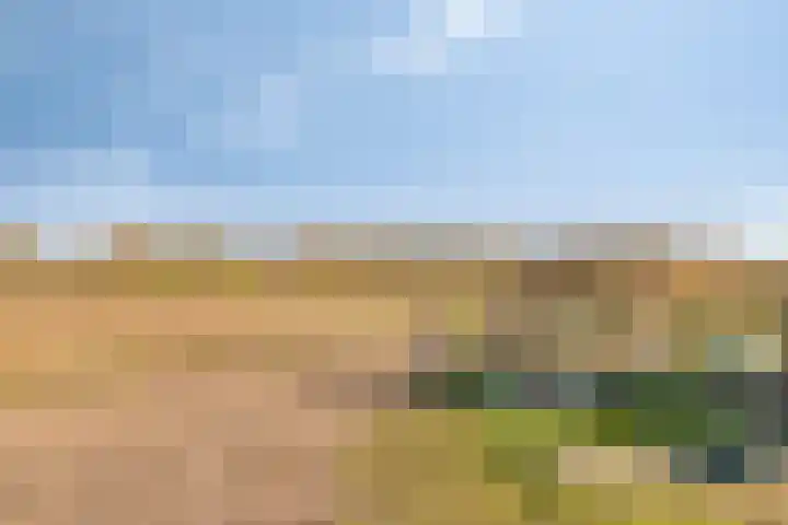 Donk 8 Vessem thumbnail 40