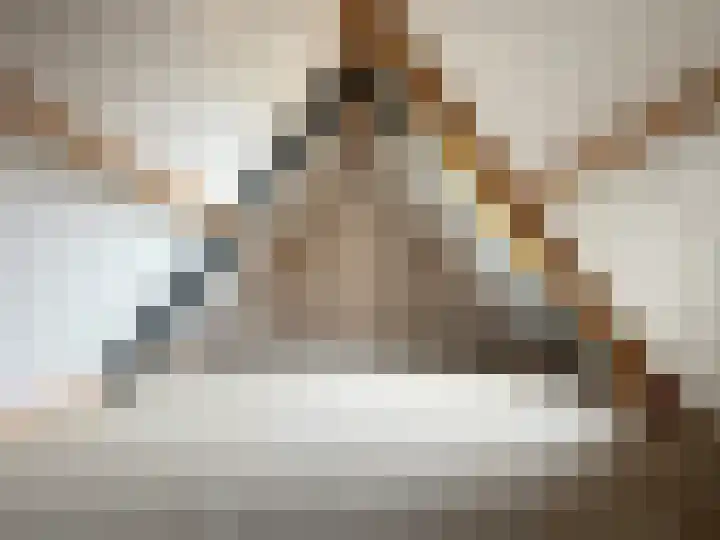 Donk 8 Vessem thumbnail 41