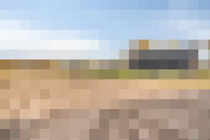Donk 8 Vessem thumbnail 42