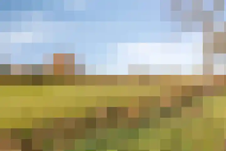 Donk 8 Vessem thumbnail 44