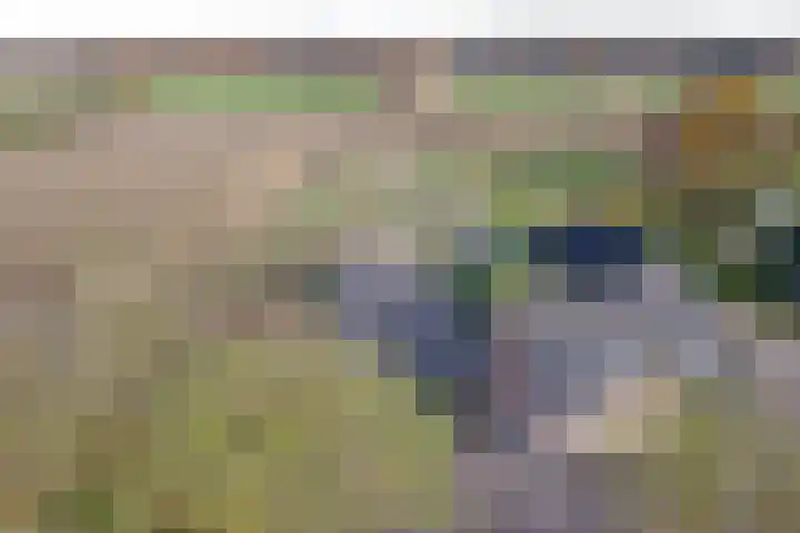 Donk 8 Vessem thumbnail 5