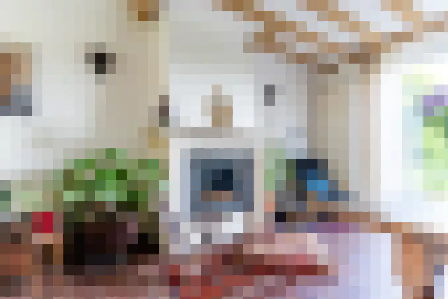 Donkbeemd 29 Lage Mierde thumbnail 12