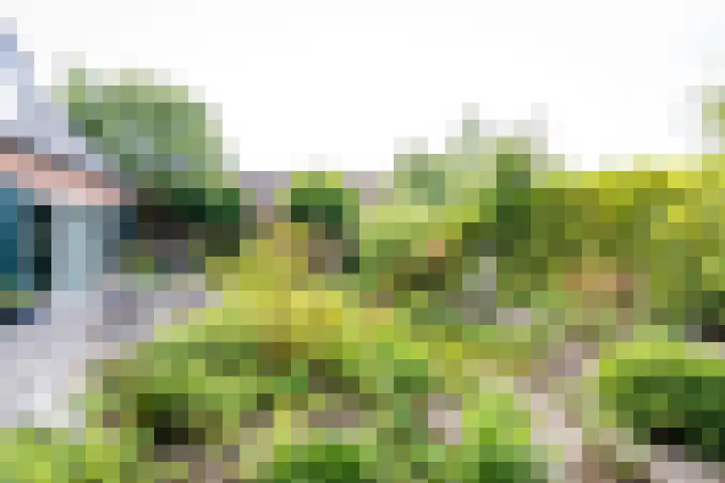 Donkbeemd 29 Lage Mierde foto 2