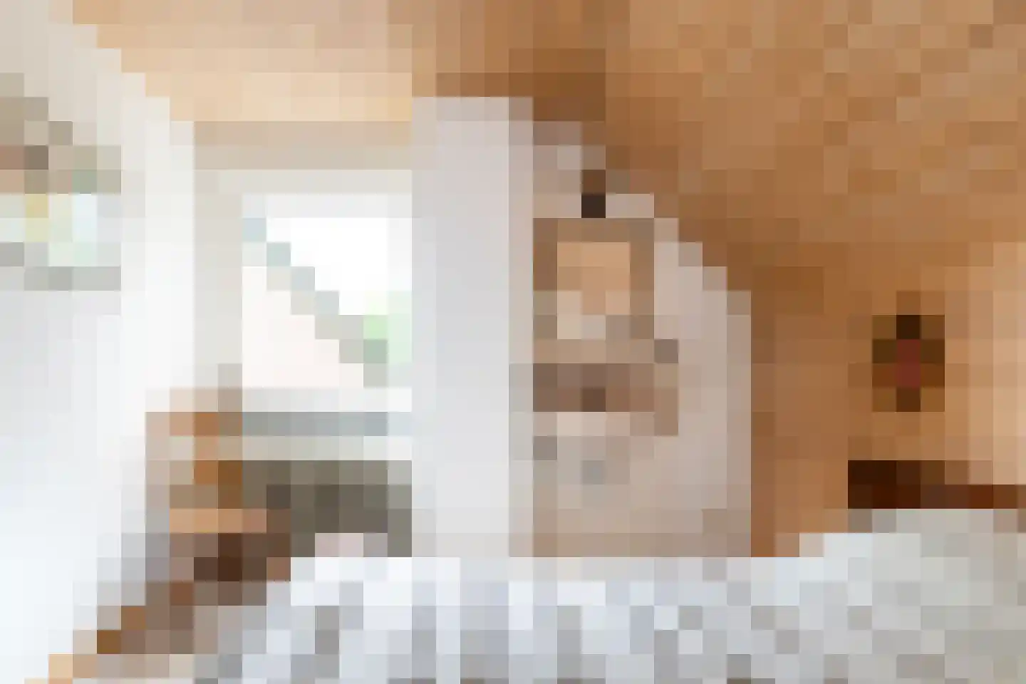 Donkbeemd 29 Lage Mierde thumbnail 37