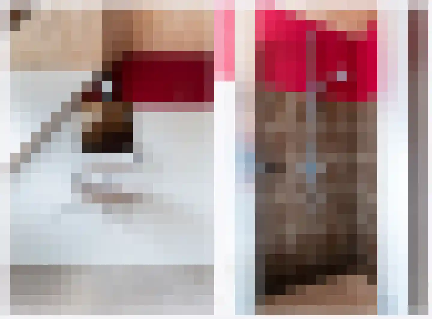 Donkbeemd 29 Lage Mierde thumbnail 45