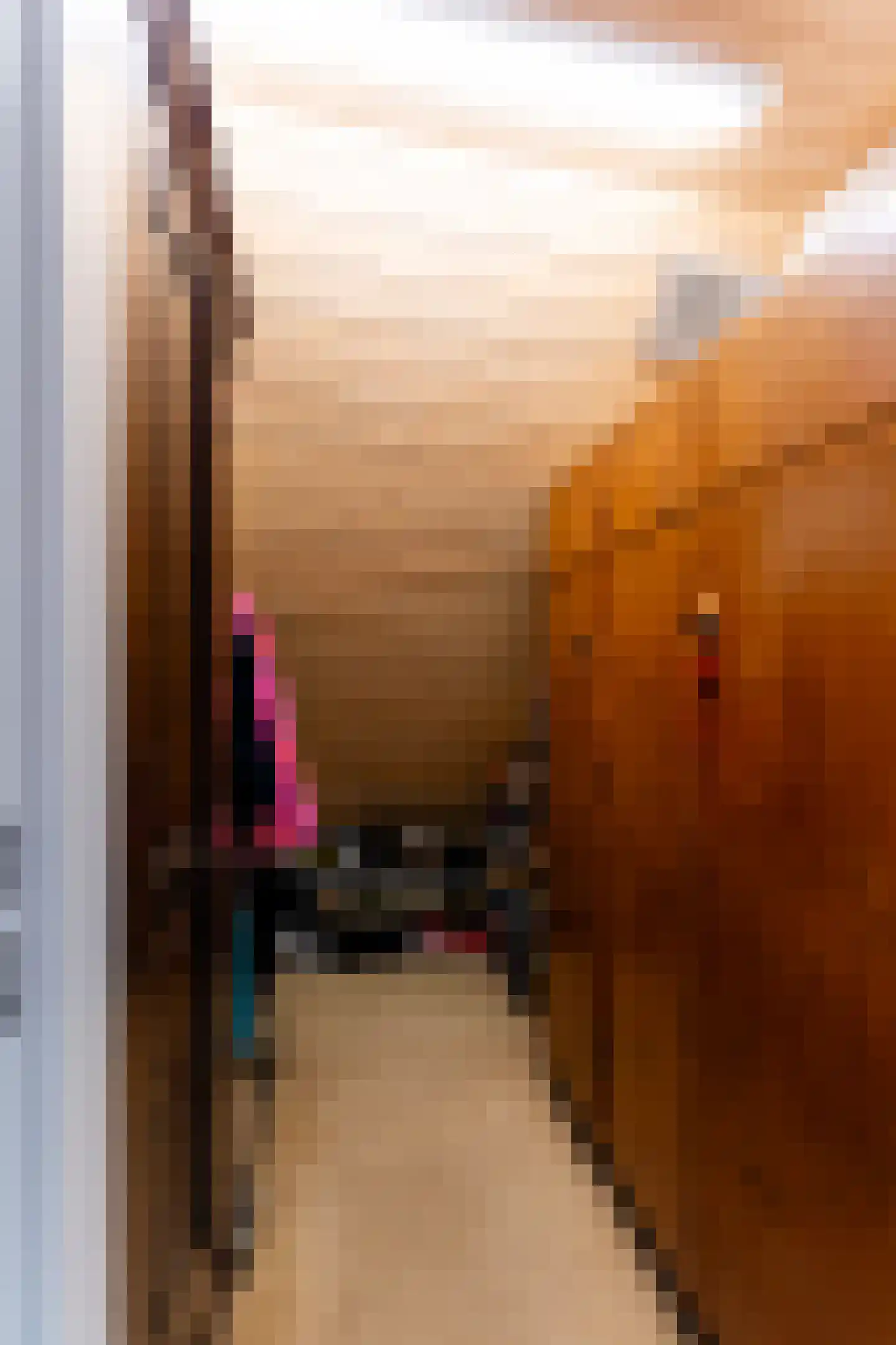 Donkbeemd 29 Lage Mierde thumbnail 47
