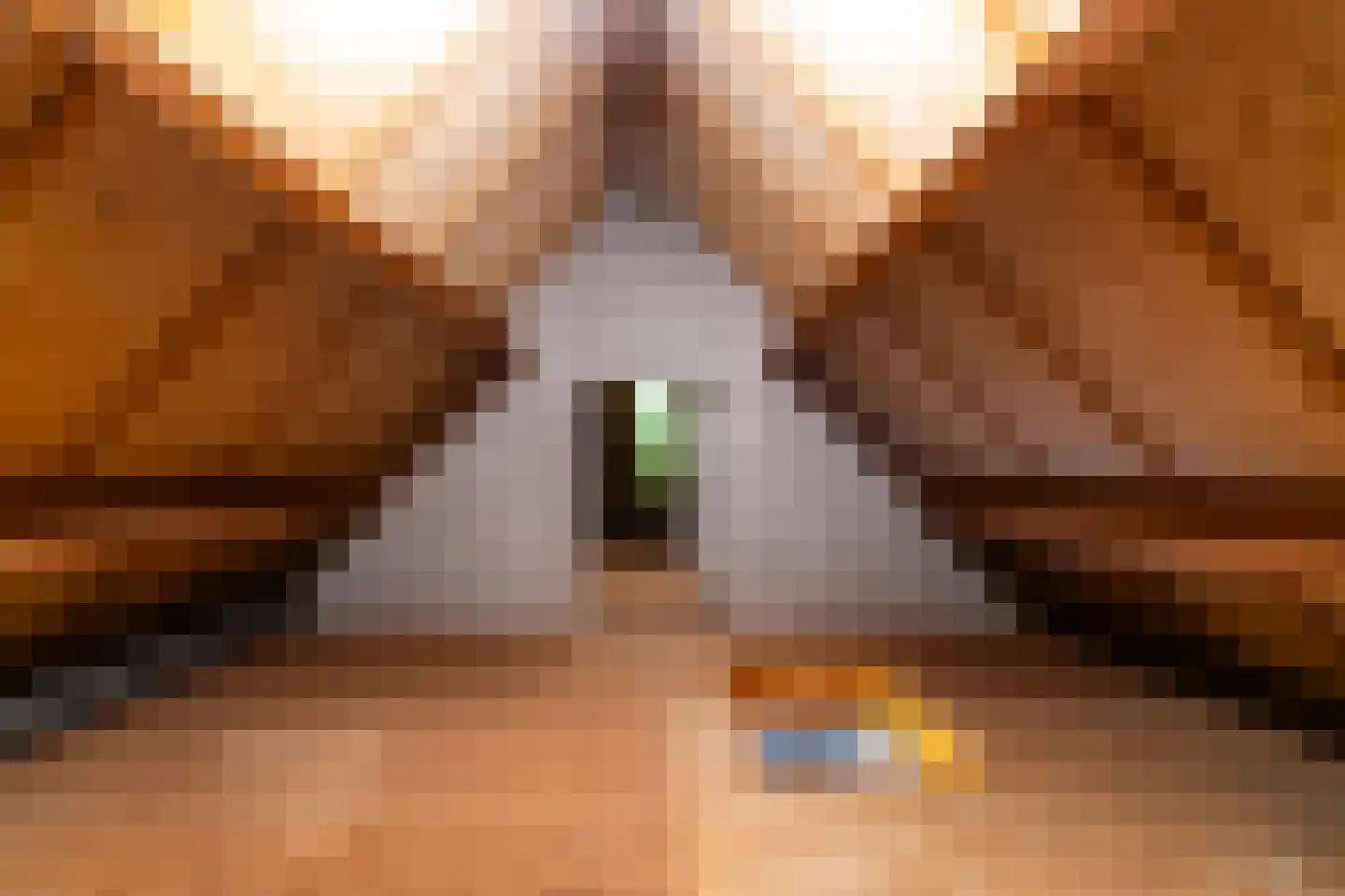 Donkbeemd 29 Lage Mierde thumbnail 48