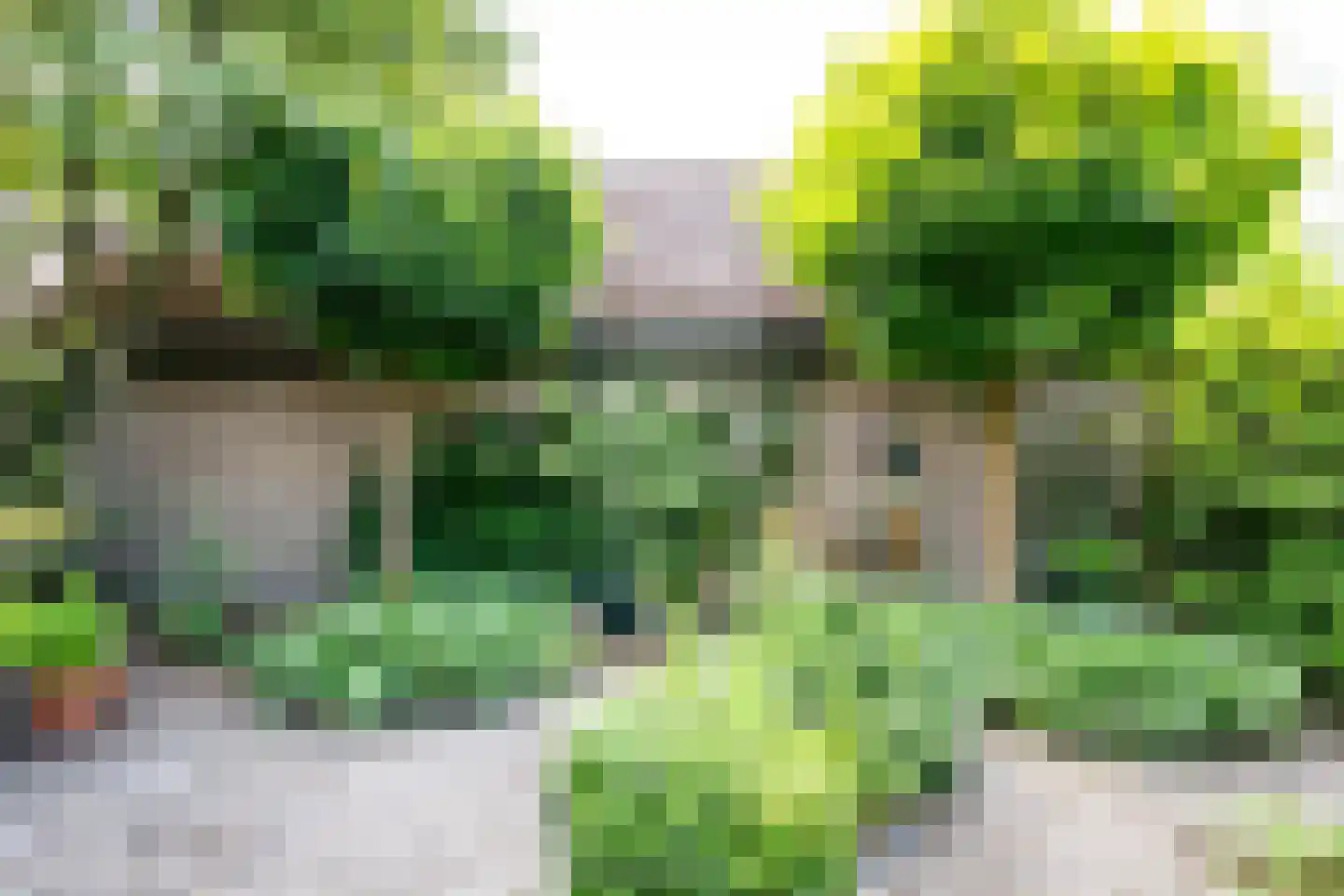 Donkbeemd 29 Lage Mierde thumbnail 57