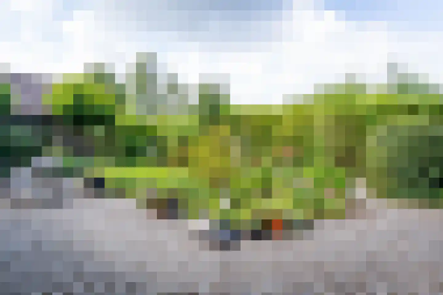 Donkbeemd 29 Lage Mierde thumbnail 58