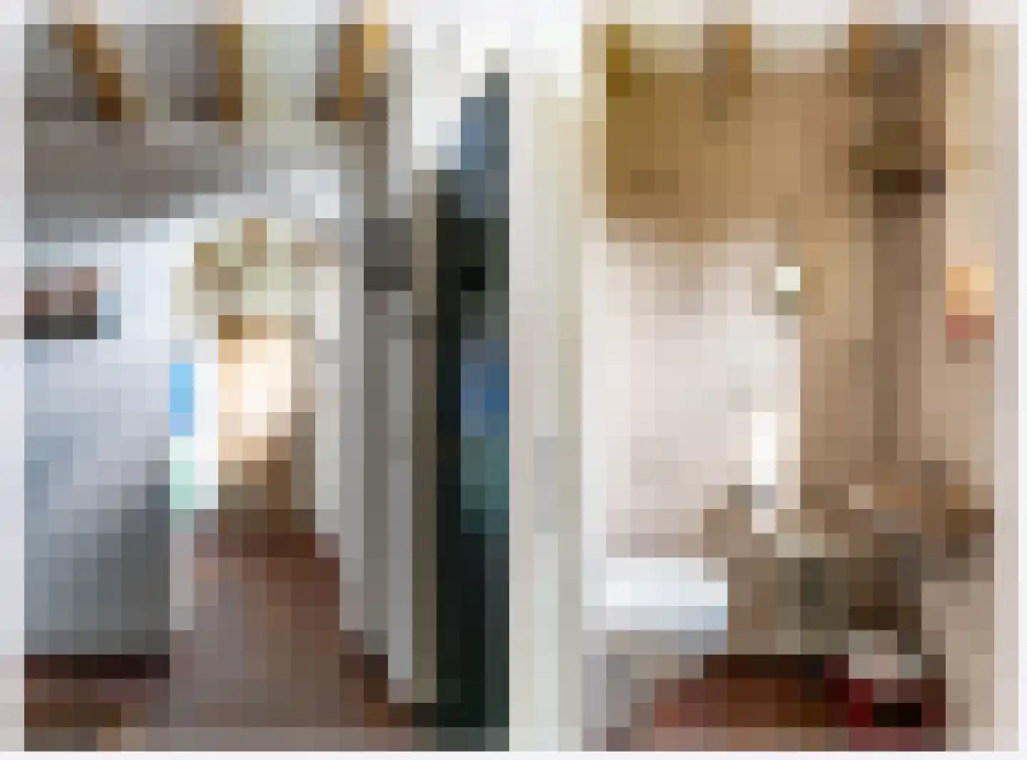 Donkbeemd 29 Lage Mierde thumbnail 7