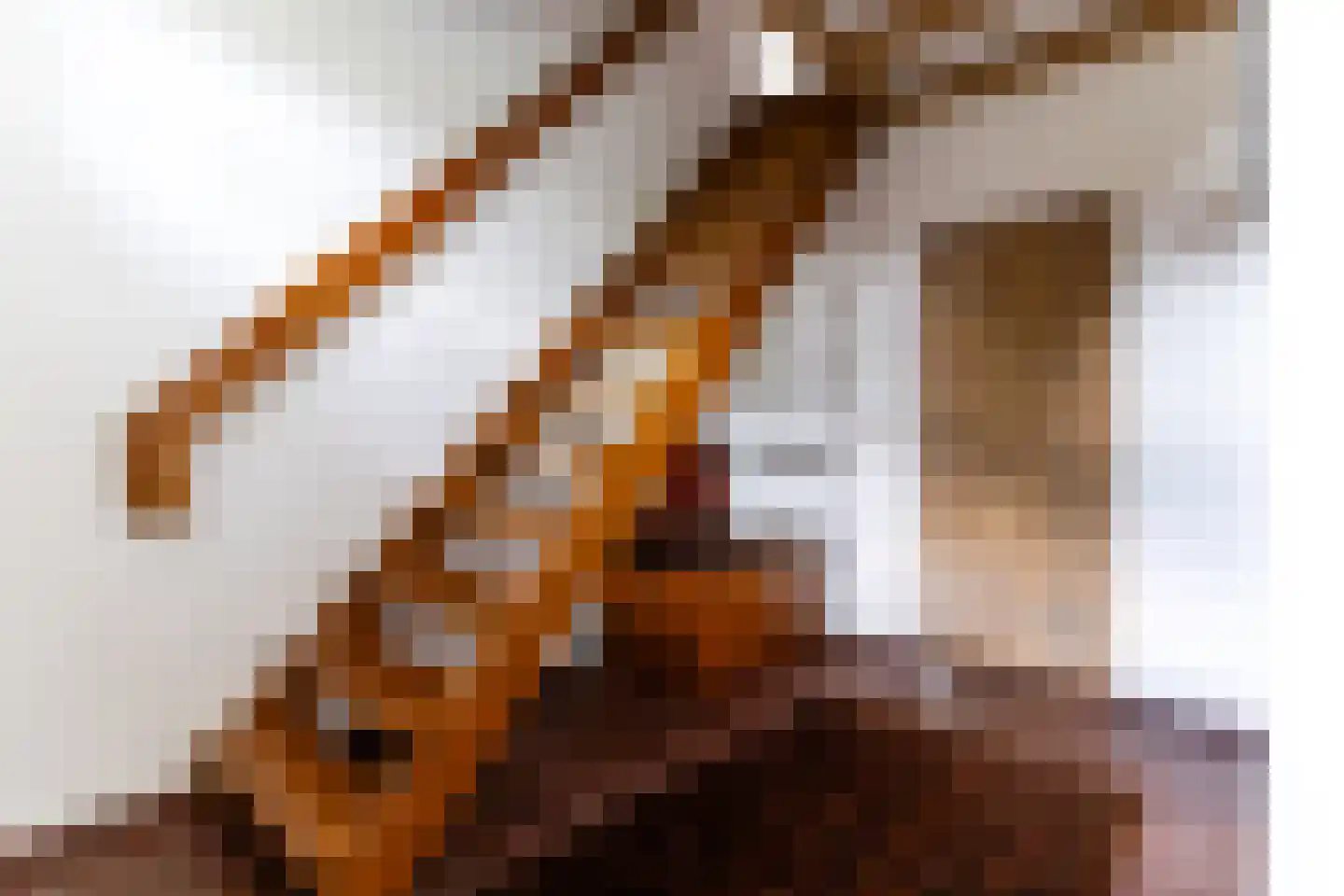 Donkbeemd 29 Lage Mierde thumbnail 8
