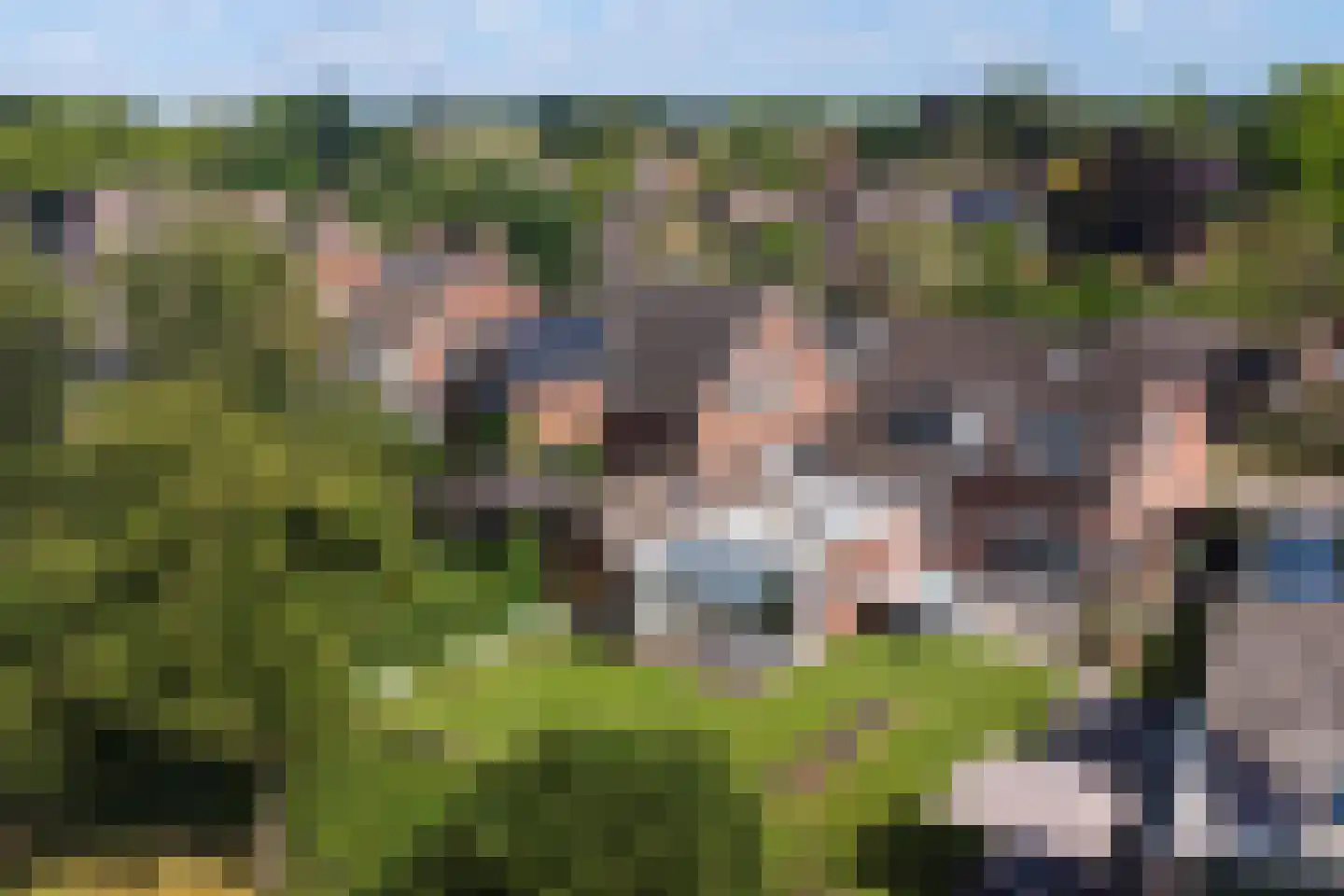 Donkbeemd 33 dans Lage Mierde
