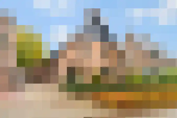 Donkbeemd 41 Lage Mierde
