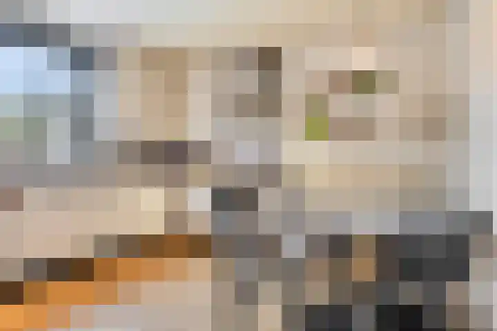 Donkbeemd 41 Lage Mierde thumbnail 10
