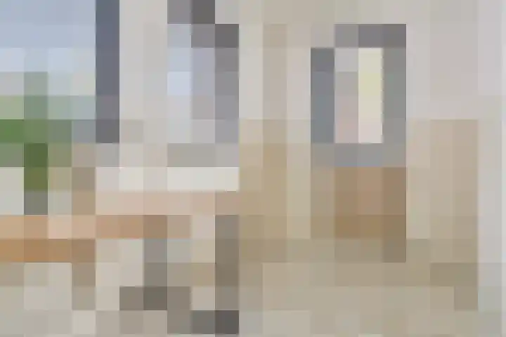 Donkbeemd 41 Lage Mierde thumbnail 12