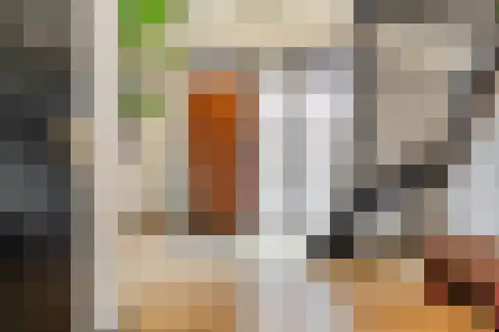 Donkbeemd 41 Lage Mierde thumbnail 15