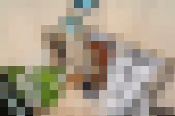 Donkbeemd 41 Lage Mierde thumbnail 16