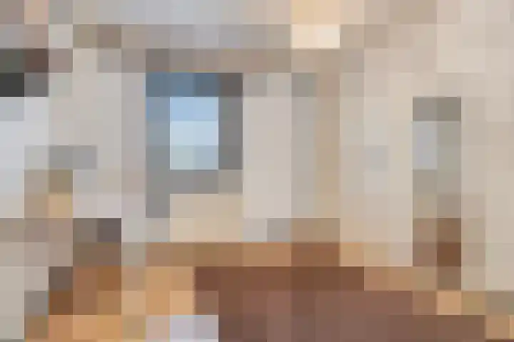 Donkbeemd 41 Lage Mierde thumbnail 21