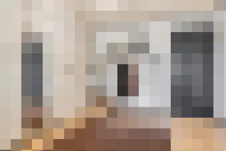 Donkbeemd 41 Lage Mierde thumbnail 22