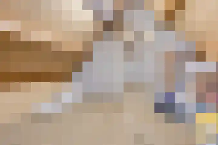 Donkbeemd 41 Lage Mierde thumbnail 32