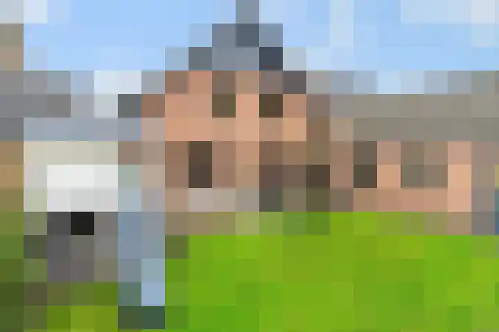 Donkbeemd 41 Lage Mierde thumbnail 33