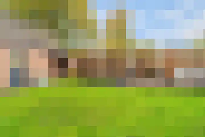 Donkbeemd 41 Lage Mierde thumbnail 34