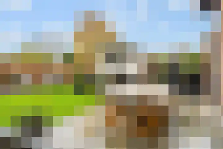 Donkbeemd 41 Lage Mierde thumbnail 36