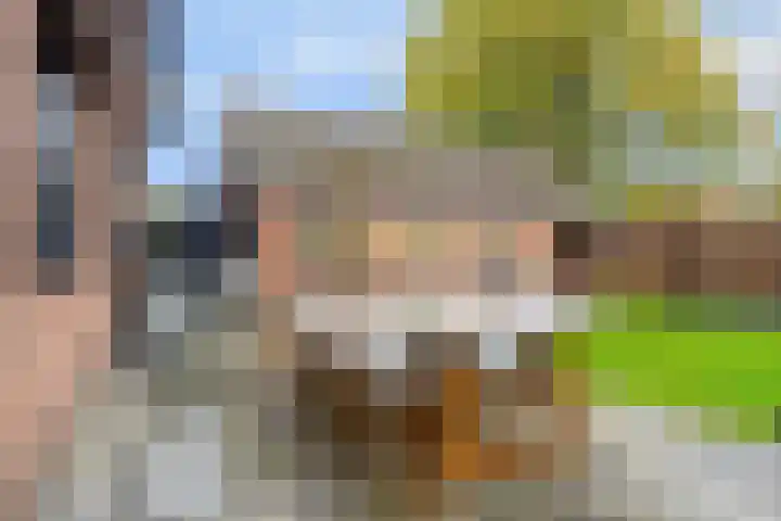 Donkbeemd 41 Lage Mierde thumbnail 37