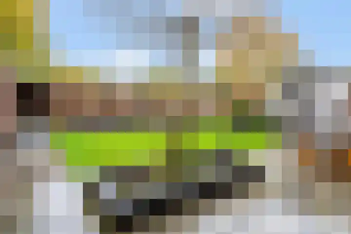 Donkbeemd 41 Lage Mierde thumbnail 38