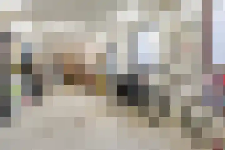 Donkbeemd 41 Lage Mierde thumbnail 40