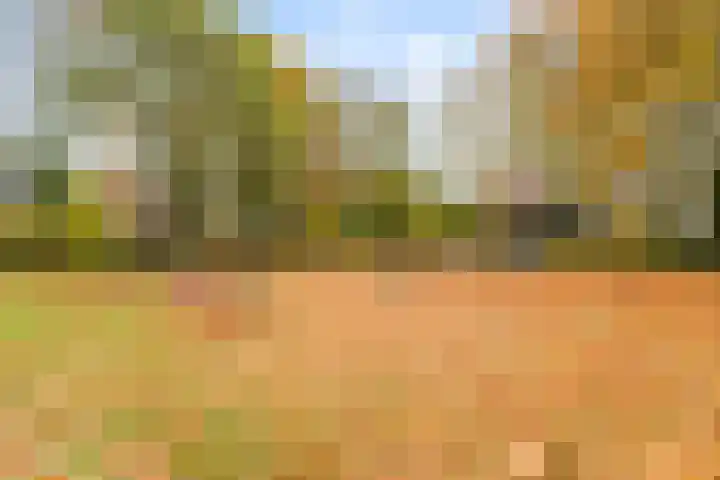 Donkbeemd 41 Lage Mierde thumbnail 42