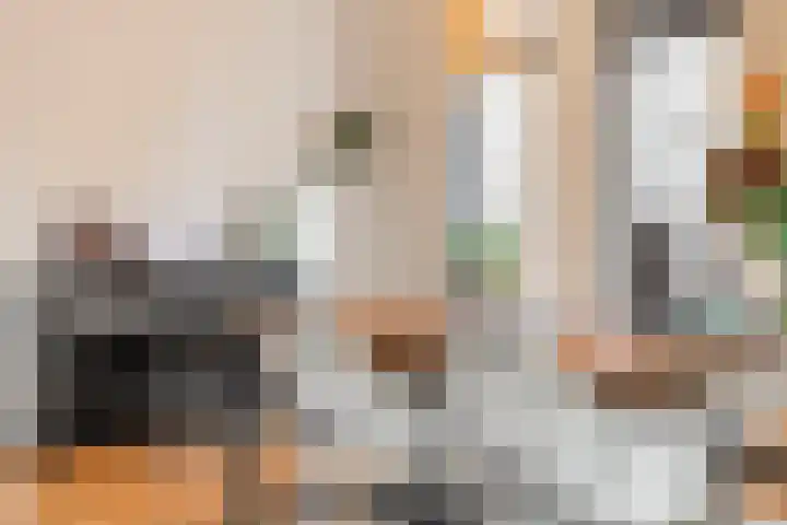 Donkbeemd 41 Lage Mierde thumbnail 6