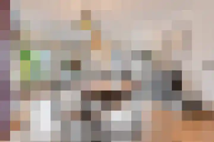 Donkbeemd 41 Lage Mierde thumbnail 7