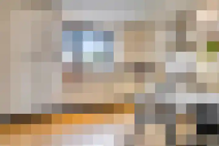 Donkbeemd 41 Lage Mierde thumbnail 9