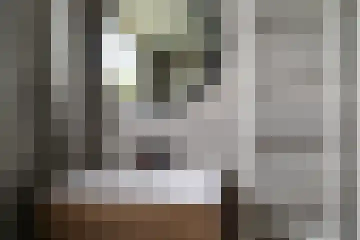 Donkerstraat 12 Aalst thumbnail 22